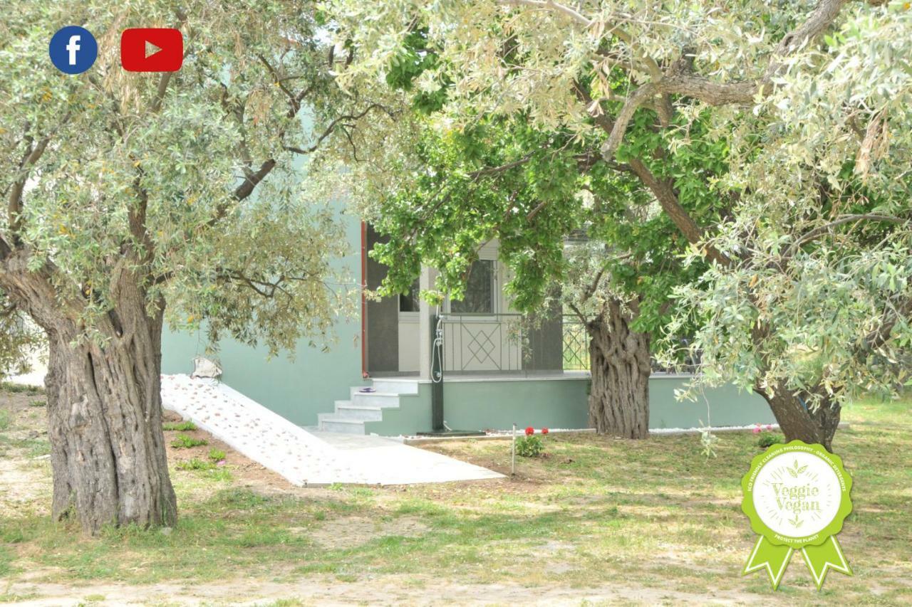 Villa "Elaeda Evdokia" Prínos Eksteriør bilde